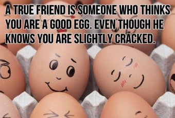 Funny Quotes about friends